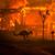 Nancy Lee Westrell's profile image
