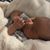 Josie Janet Camacho's profile image