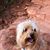 Jennifer Kamb's profile image