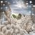 Carol Jankowski Peto's profile image