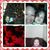 Deanna Lopez's profile image