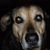 Joe Mack's profile image