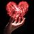 Holly Haushalter-Kruszwicki's profile image