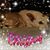 Darla Goodall Cain's profile image
