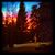 Tanner John Miller's profile image