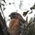 Carol Legan's profile image
