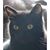 Andrea Nye Howard's profile image