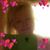 Sharon Kreitzer's profile image