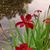 Angela Rebecca Casselman's profile image