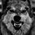 Edward Hutter's profile image