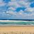 Caroline de Bourbon's profile image