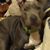 Doriene Henderson's profile image
