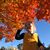 Michele Campbell's profile image