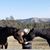 Sandy Shaughnessy's profile image