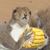 Janet Erwin's profile image