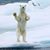 Lowell Edkins's profile image