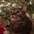Dawn Marie's profile image