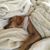 ZsaZsa Carlson's profile image