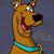 Liz Oehler Boal's profile image