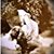 Rindy Jones-Greer's profile image
