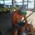 Jonathan Alsberghe's profile image