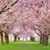 Jane Fitz Fitzharris's profile image