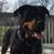 Linda Rodriguez's profile image
