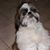 Yvonne Nathanson's profile image