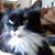 Carol Durig's profile image