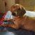 Robin Johnson Cheyne's profile image