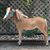 Linda Bauerschmidt Dooling's profile image