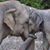 Jennie Glasser's profile image