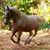 Mary D. del Monte's profile image