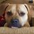 Kevin Krause's profile image