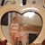 Sharon Guttilla's profile image