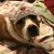 Alfonso Peake's profile image