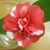 Mary Thompson Hardwick's profile image