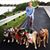 Sharon Cavallo Armellini's profile image