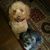 Patti Thompson Carlson's profile image