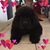 Roxi Roberts's profile image