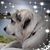 Karen Knoth's profile image