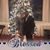 Stephonne Sharenzo Wilson's profile image