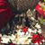 Lisa Lost's profile image