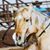 Karen Howland's profile image