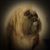 Jodie Tavernaris's profile image