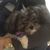 Angie Boch's profile image