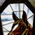 Patti Pinos-Reuther's profile image