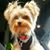 Timothy Dees's profile image