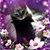 Abbey Becton's profile image