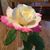 Linda Black's profile image